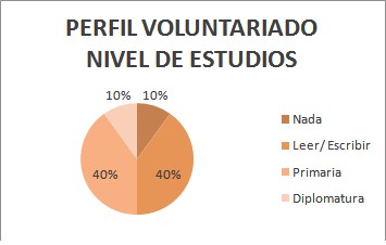 geriatria_envejecimiento_activo/voluntariado_nivel_estudios