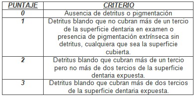 perdida_primer_molar/puntajes_criterios_detritus