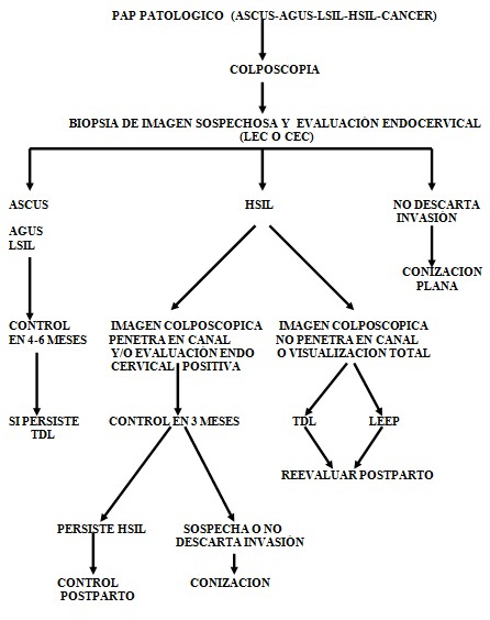 cancer_cuello_uterino/Papanicolau_PAP_HPV_cervical