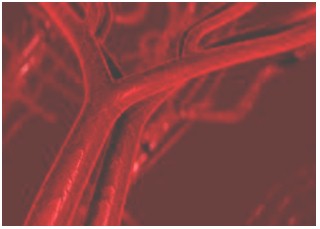 interpretacion_parametros_sanguineos/velocidad_de_sedimentacion