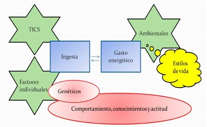 obesidad_infantil_alimentacion/ingesta_gasto_energetico