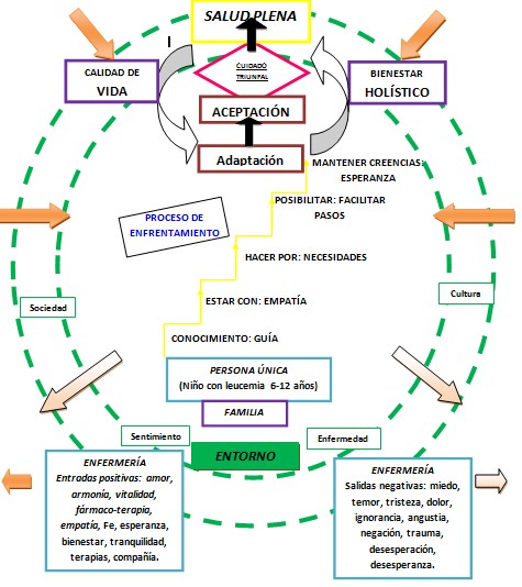 cuidados_enfermeria_leucemia/metaparadigma_cuidados_enfermera