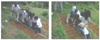 estimulacion_integral_infancia/area_educacion_ambiental
