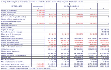 estimulacion_integral_infancia/proyeccion_basica_primaria