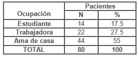sindrome_secrecion_vaginal/distribucion_pacientes_ocupacion