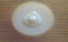 biofilm_virulencia_levaduras/Candida_agar_fosfolipasa