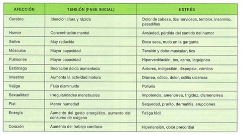 estrategias_afrontamiento_estres/efectos_biologicos_estres