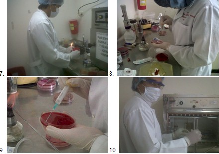germenes_dialisis_peritoneal/manejo_proceso_hemocultivo