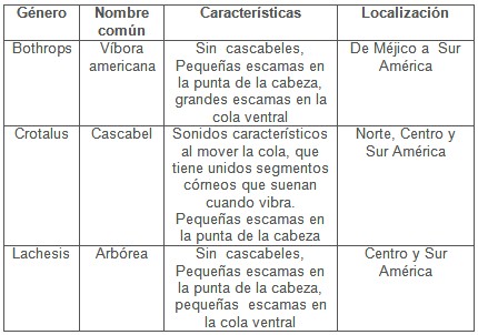 mordeduras_serpientes_venenosas/viboras_familia_crotalidae