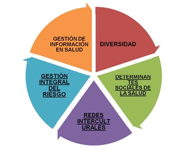 salud_auditiva_gestantes/modelo_promocion_salud