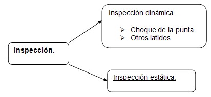 historia_clinica_cardiovascular/exploracion_inspeccion