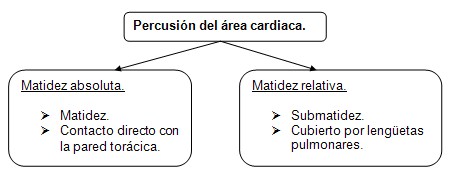 historia_clinica_cardiovascular/exploracion_percusion_cardiaca historia_clinica_cardiovascular/exploracion_percusion_cardiaca
