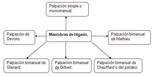 historia_clinica_digestivo/exploracion_palpacion