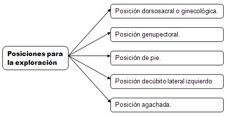 historia_clinica_digestivo/exploracion_recto_ano historia_clinica_digestivo/exploracion_recto_ano