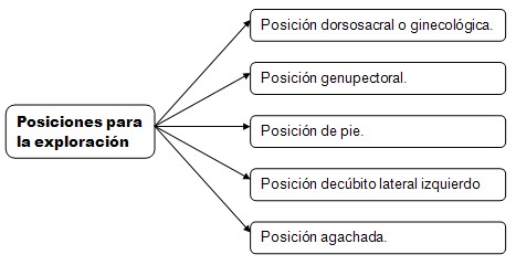 historia_clinica_digestivo/exploracion_recto_ano