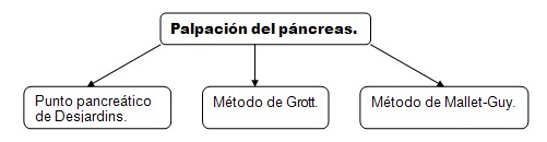 historia_clinica_digestivo/palpacion_pancreas_tecnicas