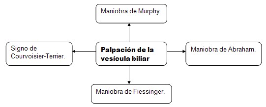 historia_clinica_digestivo/palpacion_vesicula_biliar