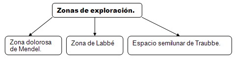 historia_clinica_digestivo/zonas_exploracion