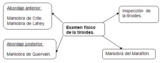 historia_clinica_endocrinologia/exploracion_glandula_tiroides