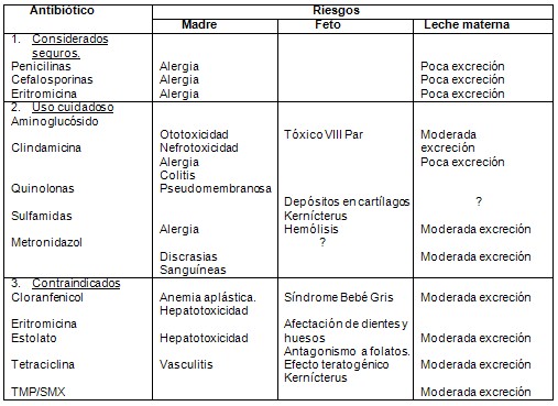 uso_empleo_antimicrobianos/antibioticos_riesgo_embarazo