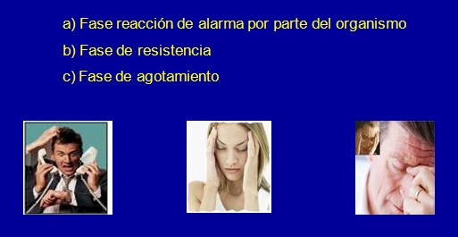Alzheimer_estres_stress/fases_alarma_resistencia_agotamiento