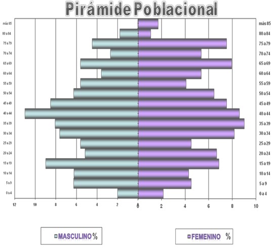 situacion_salud_poblacion/piramide_poblacional_poblacion