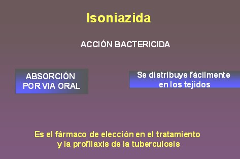TBC_drogas_tuberculostaticas/isoniacida_isoniazida_bactericida