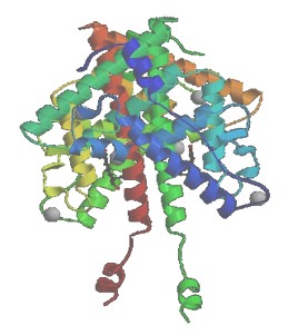 anticoncepcion_emergencia_anticonceptivos/receptor_esteroide anticoncepcion_emergencia_anticonceptivos/receptor_esteroide