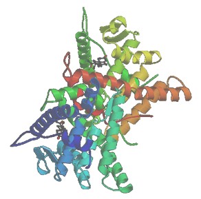 anticoncepcion_emergencia_anticonceptivos/receptor_progesterona