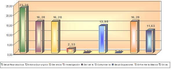 investigaciones_escuela_enfermeria/campo_area_conocimiento