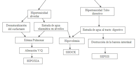 victimas_ahogamiento_inmersion/agua_de_mar victimas_ahogamiento_inmersion/agua_de_mar