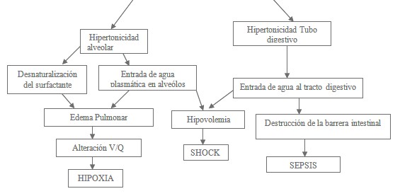 victimas_ahogamiento_inmersion/agua_de_mar