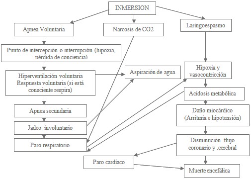 victimas_ahogamiento_inmersion/apnea_muerte_encefalica