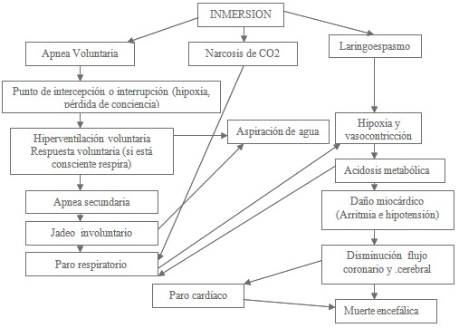 victimas_ahogamiento_inmersion/apnea_muerte_encefalica victimas_ahogamiento_inmersion/apnea_muerte_encefalica