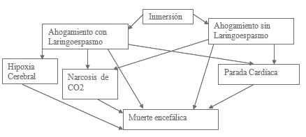 victimas_ahogamiento_inmersion/laringoespasmo_con_sin victimas_ahogamiento_inmersion/laringoespasmo_con_sin