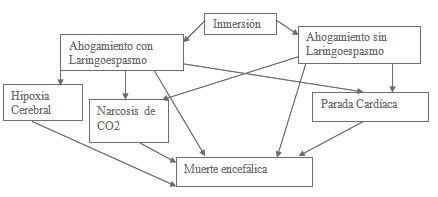 victimas_ahogamiento_inmersion/laringoespasmo_con_sin