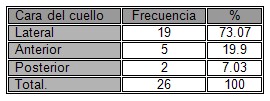 traumatismo_abierto_cuello/localizacion_topografica_lesiones