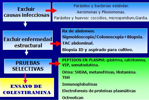 caso_clinico_diarrea/secretora_etiologia