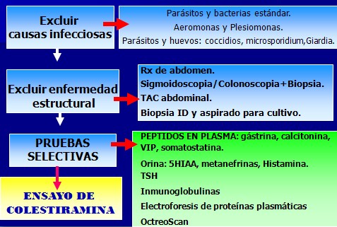 caso_clinico_diarrea/secretora_etiologia caso_clinico_diarrea/secretora_etiologia