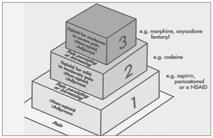 kinesiologia_cuidados_paliativos/intensidad_del_dolor