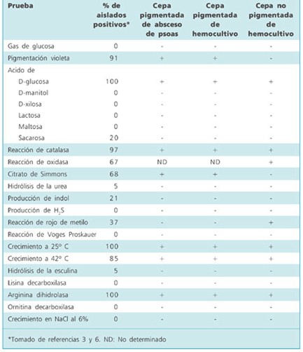 sepsis_Chromobacterium_violaceum/crecimiento_caracteristicas_bioquimicas