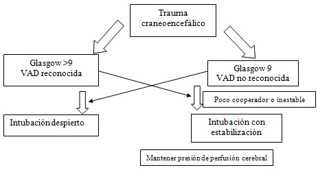 via_aerea_dificil/algoritmo_trauma_craneoencefalico