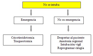 via_aerea_dificil/paciente_no_se_intuba