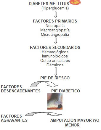 atencion_primaria_diabetes/etiopatogenia_fisiopatologia atencion_primaria_diabetes/etiopatogenia_fisiopatologia