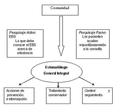 estrategia_ortodoncia_preventiva/estomatologo_odontologo_ortodoncista