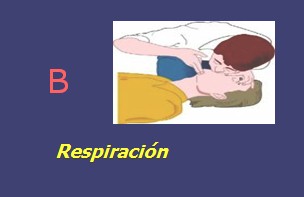 resucitacion_cardiopulmonar_avanzada/RCP_basica_B_respiracion resucitacion_cardiopulmonar_avanzada/RCP_basica_B_respiracion