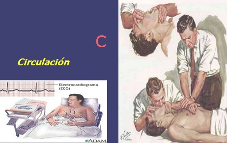 resucitacion_cardiopulmonar_avanzada/RCP_basica_C_circulacion
