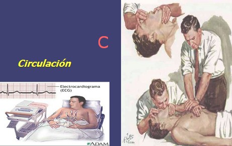 resucitacion_cardiopulmonar_avanzada/RCP_basica_C_circulacion resucitacion_cardiopulmonar_avanzada/RCP_basica_C_circulacion