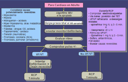 resucitacion_cardiopulmonar_avanzada/algoritmo_paro_cardiaco