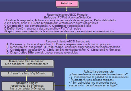 resucitacion_cardiopulmonar_avanzada/asistolia_parada_cardiaca